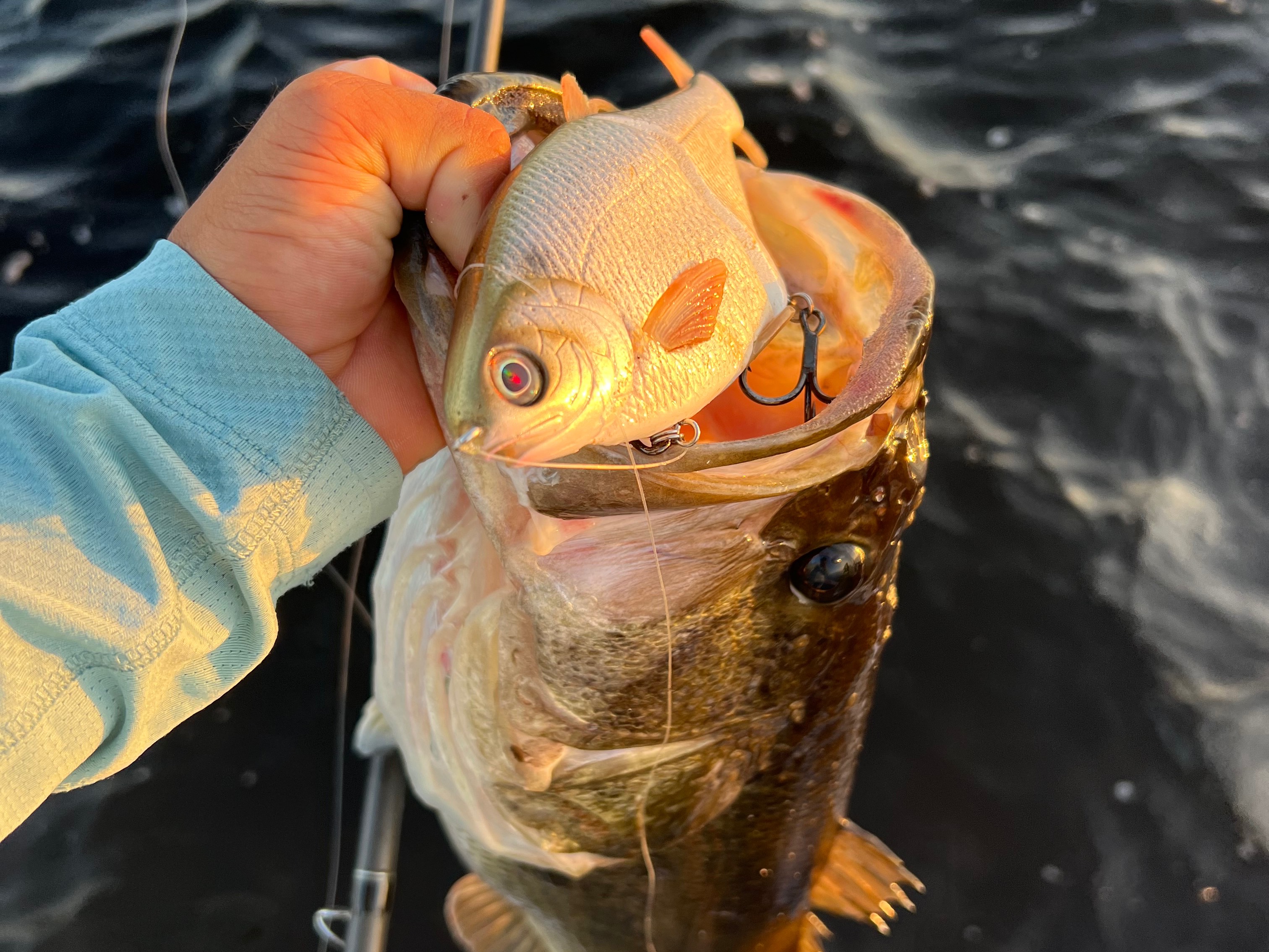 Tyler Woolcott fishing report for Headwaters Lake in Florida