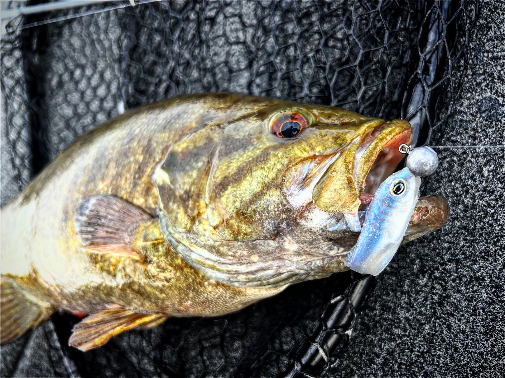 Andrew Full fishing report for Lake Erie in Ohio