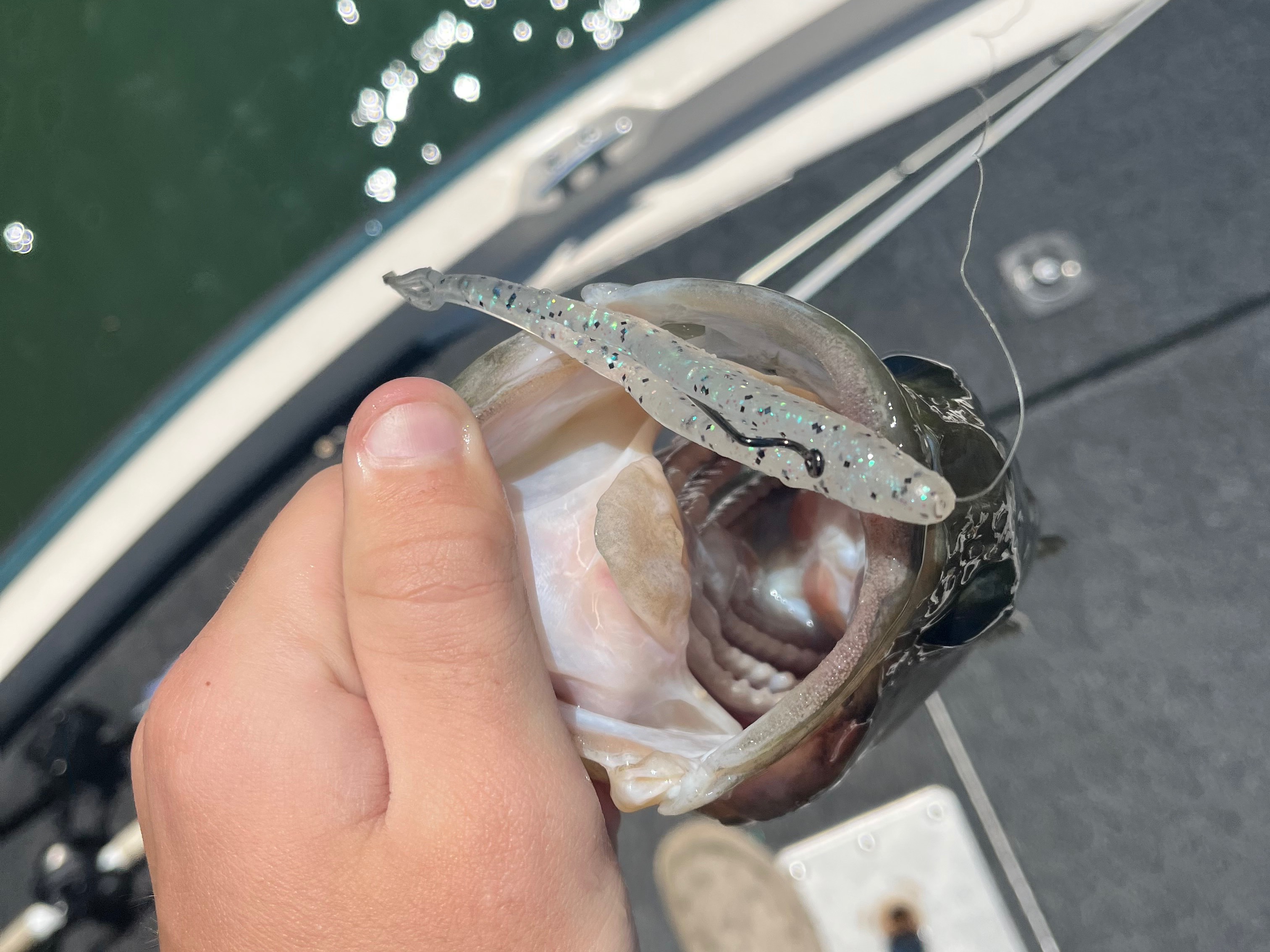 Aidan Harrington fishing report for Undisclosed Location in North Carolina