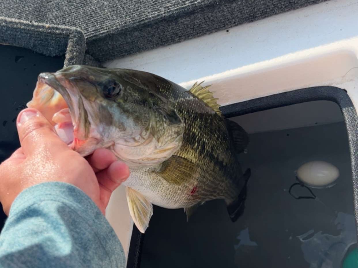 Aidan Harrington fishing report for Lake Hartwell in South Carolina