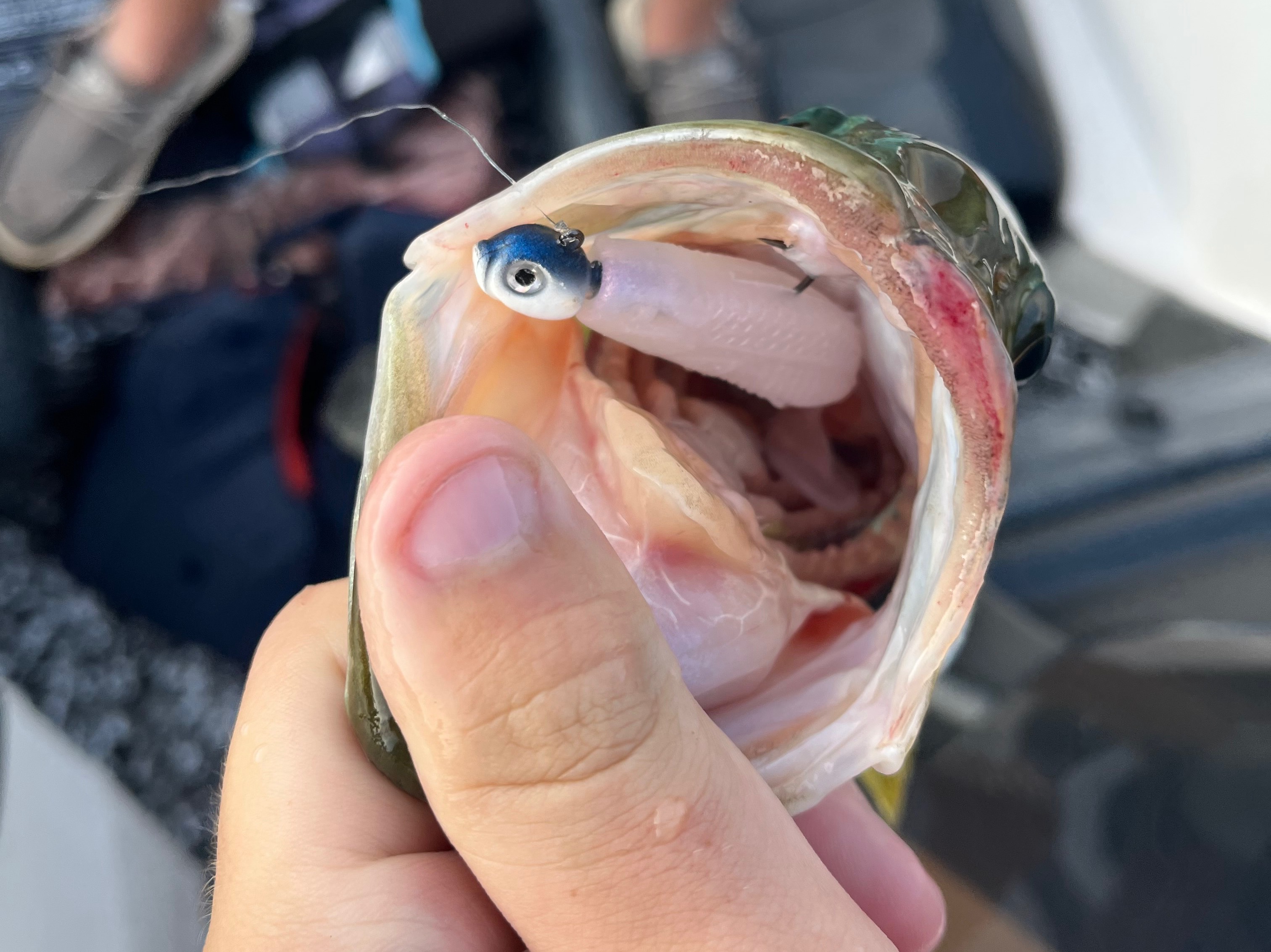 Aidan Harrington fishing report for Lake Keowee in South Carolina