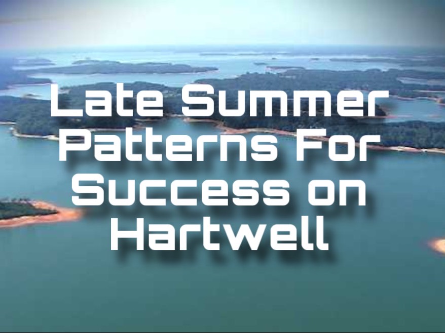 Aidan Harrington fishing report for Lake Hartwell in South Carolina