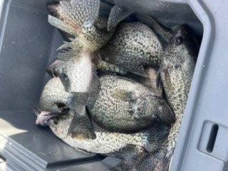 Zack Gagnard  fishing report for undefined in undefined