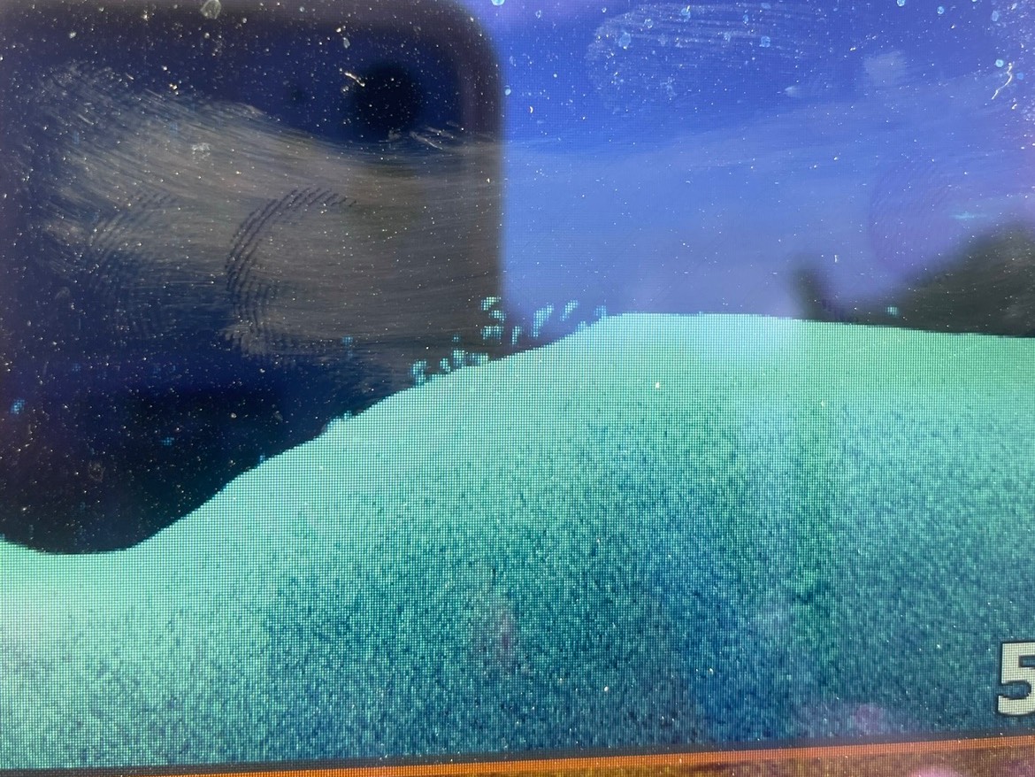 Hunter Sales fishing report for Douglas Lake in Tennessee