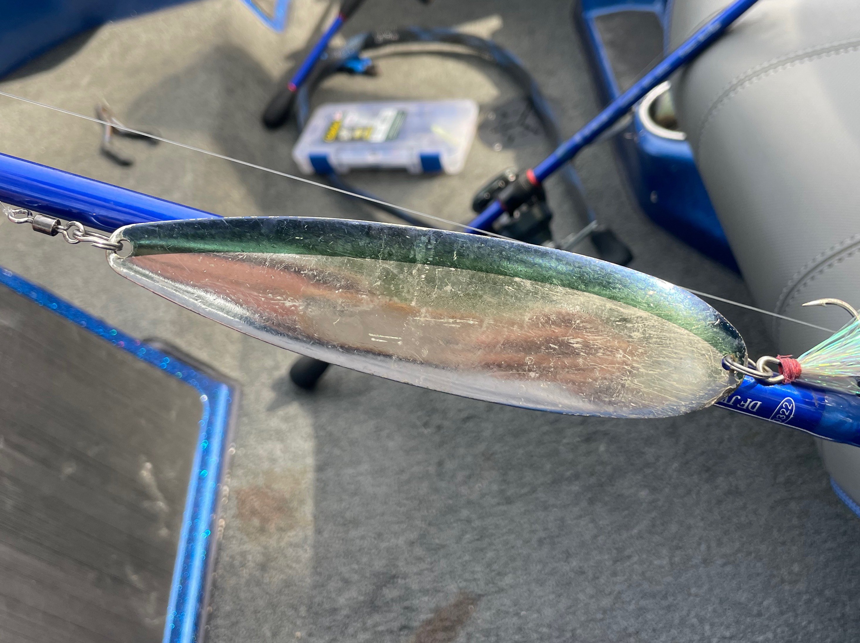 Hunter Sales fishing report for Douglas Lake in Tennessee