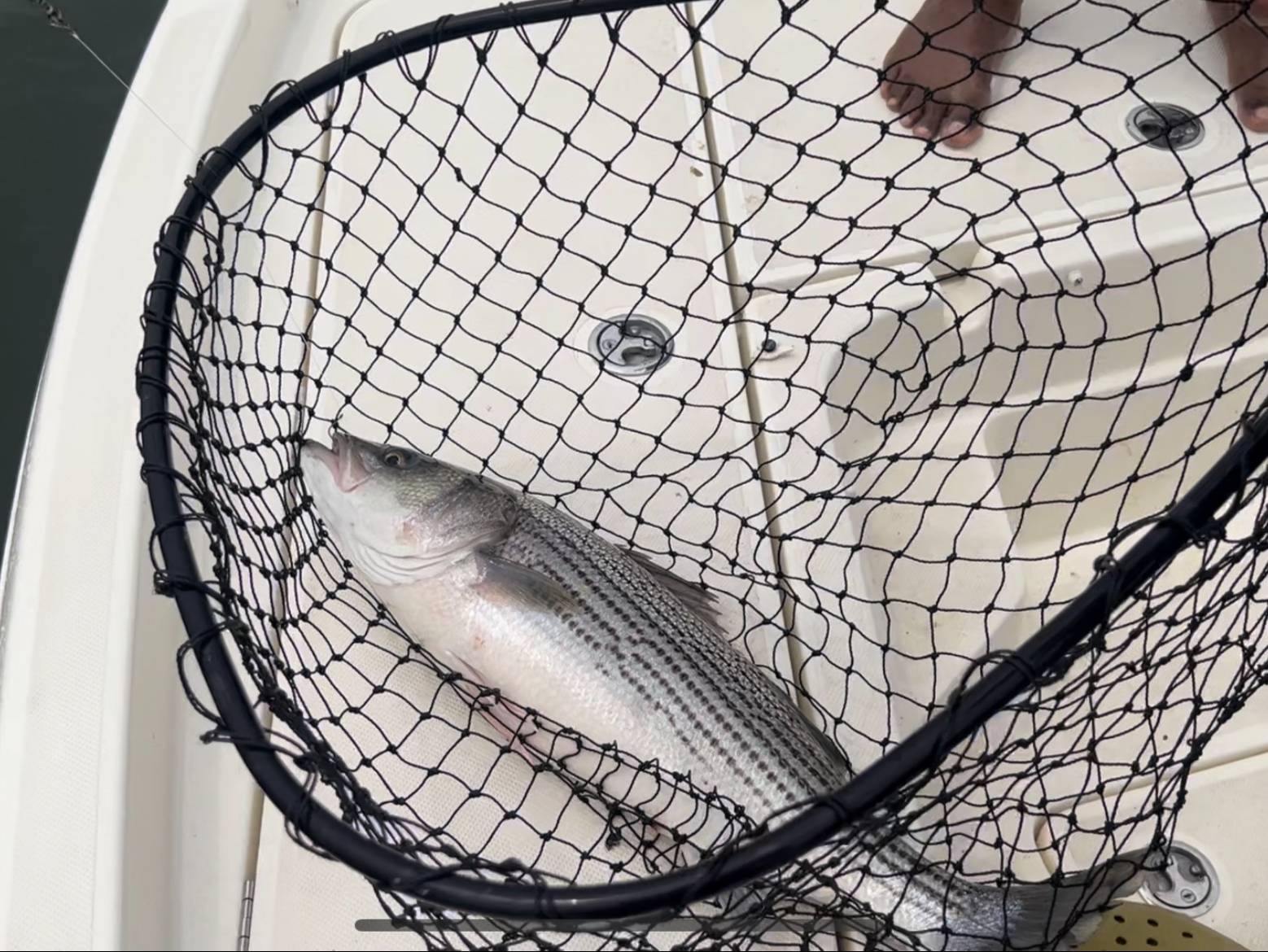 Zachary Esch fishing report for undefined in undefined