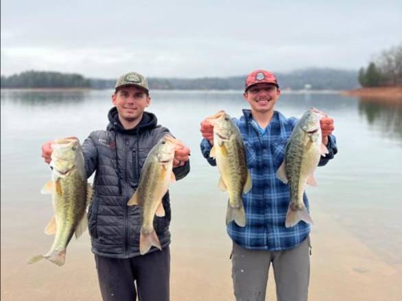 Will Harkins fishing report for Nottely Lake in Georgia