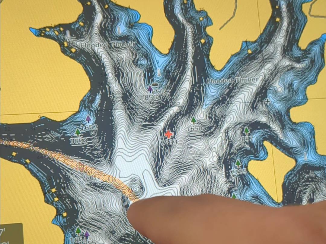 Will Harkins fishing report for North Georgia Mountains in Georgia