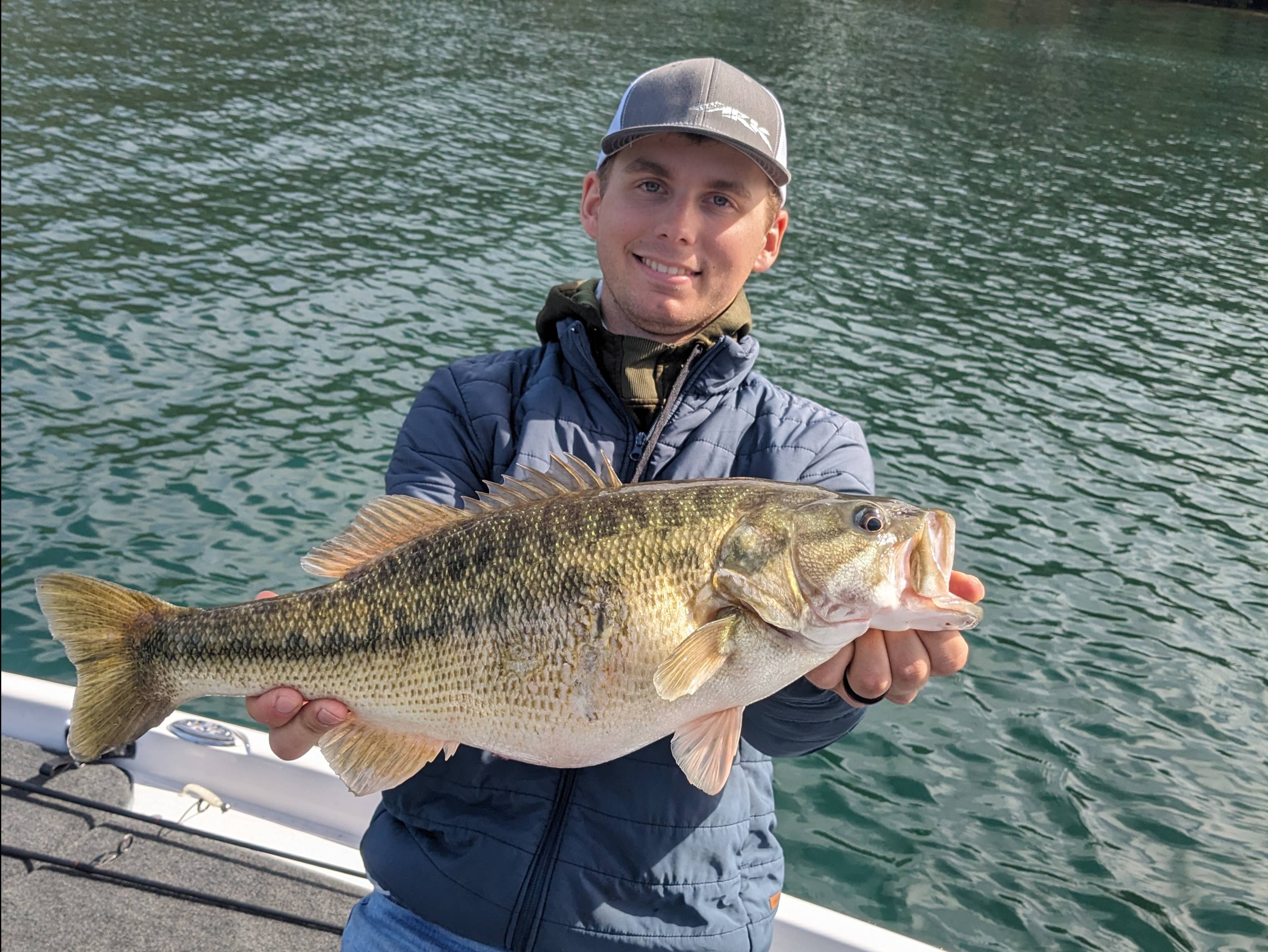 Will Harkins fishing report for Lake Lanier in Georgia