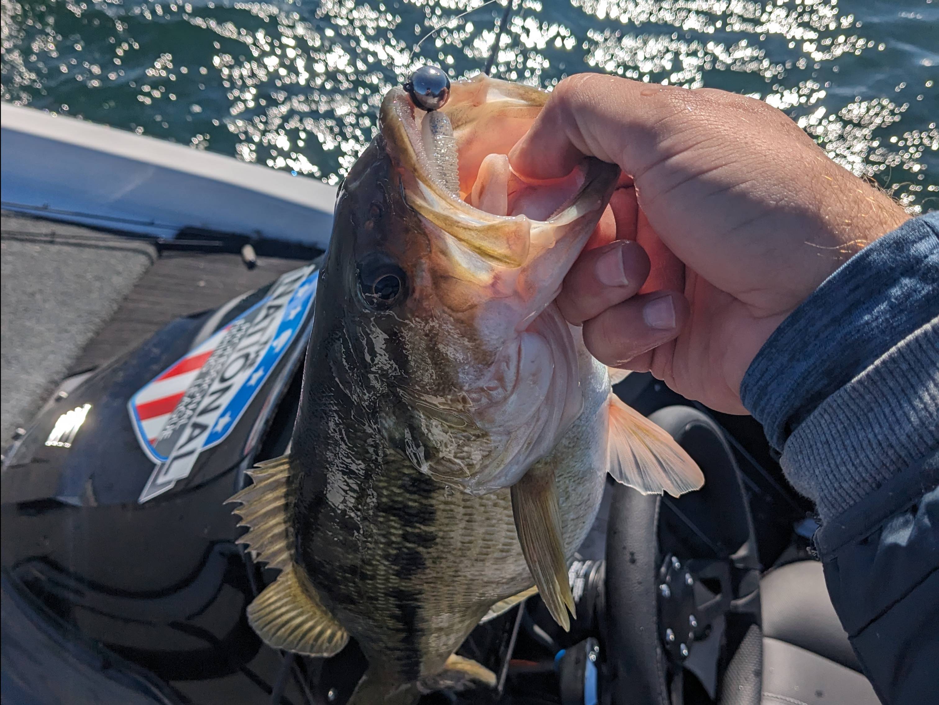 Will Harkins fishing report for Lake Lanier in Georgia