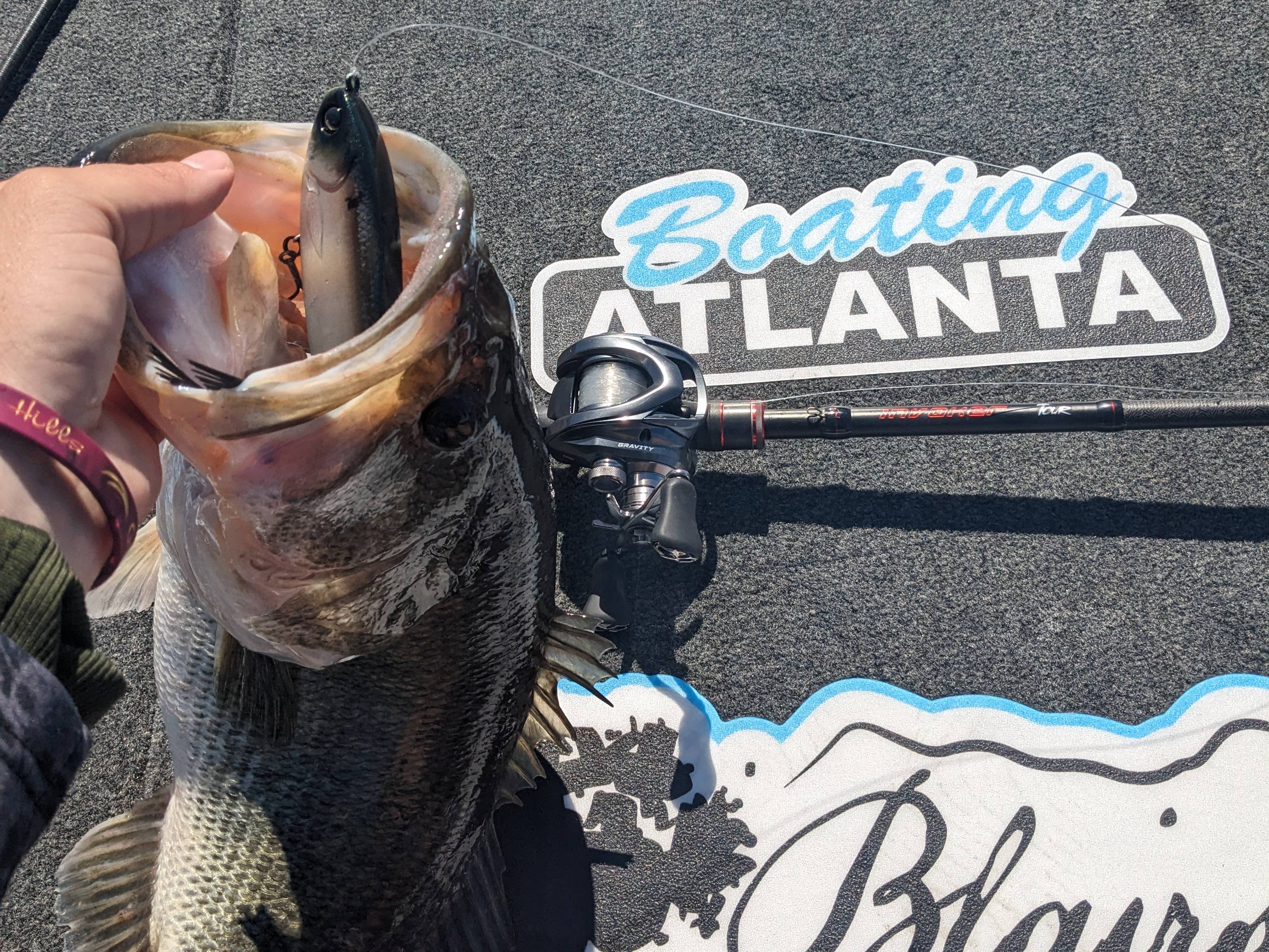 Will Harkins fishing report for Lake Lanier in Georgia