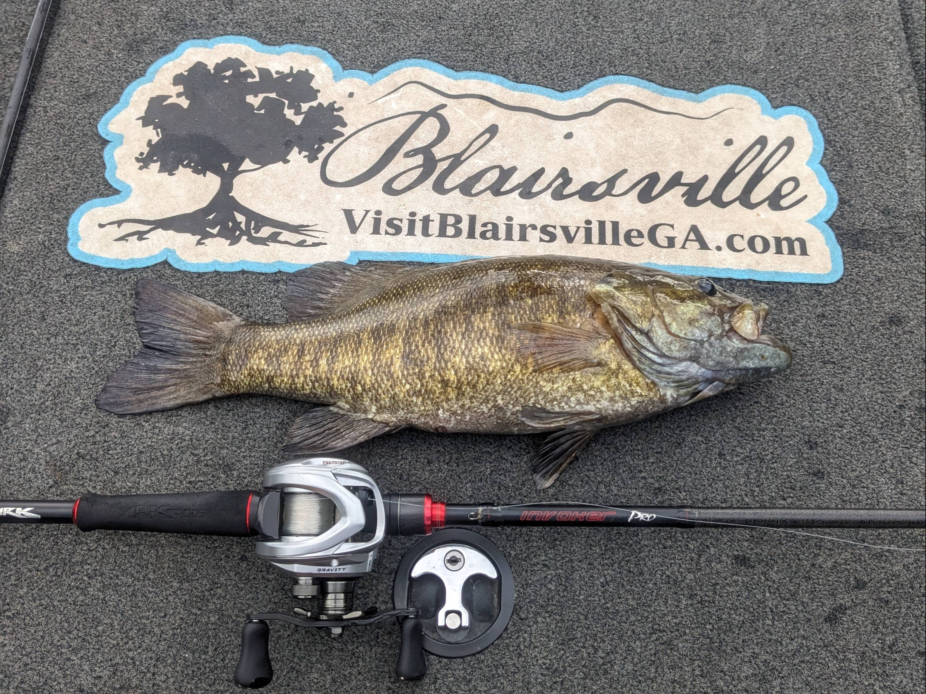 Will Harkins fishing report for Pickwick Lake in Alabama, Tennessee