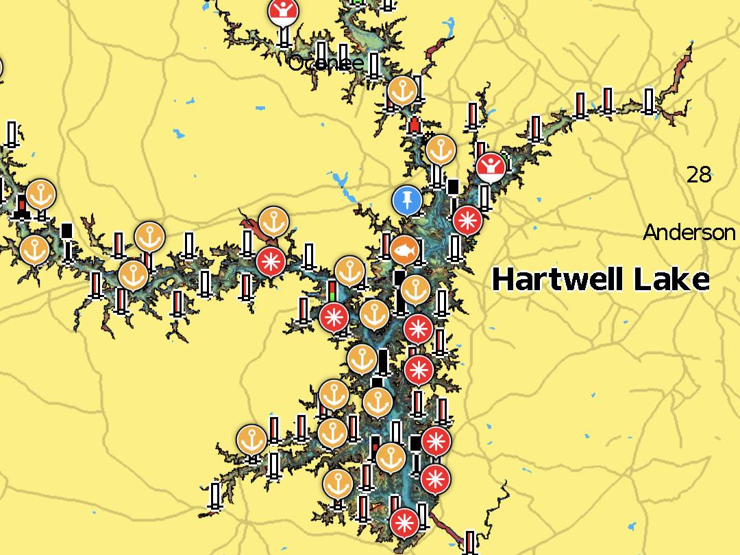 Will Harkins fishing report for Lake Hartwell in South Carolina