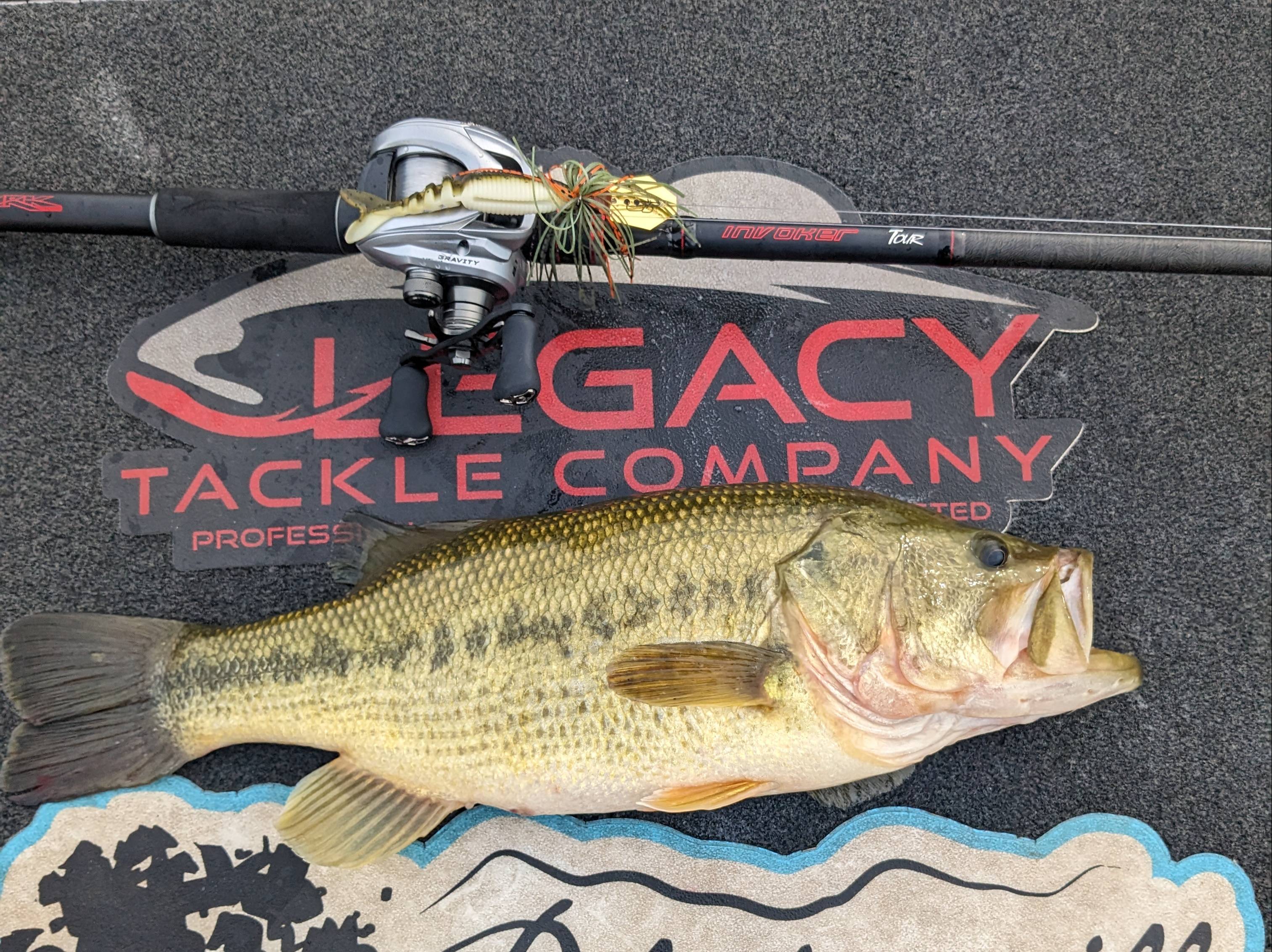 Will Harkins fishing report for Chatuge Lake in North Carolina