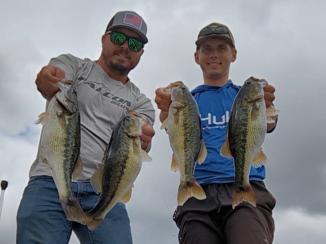 Will Harkins fishing report for Chatuge Lake in North Carolina