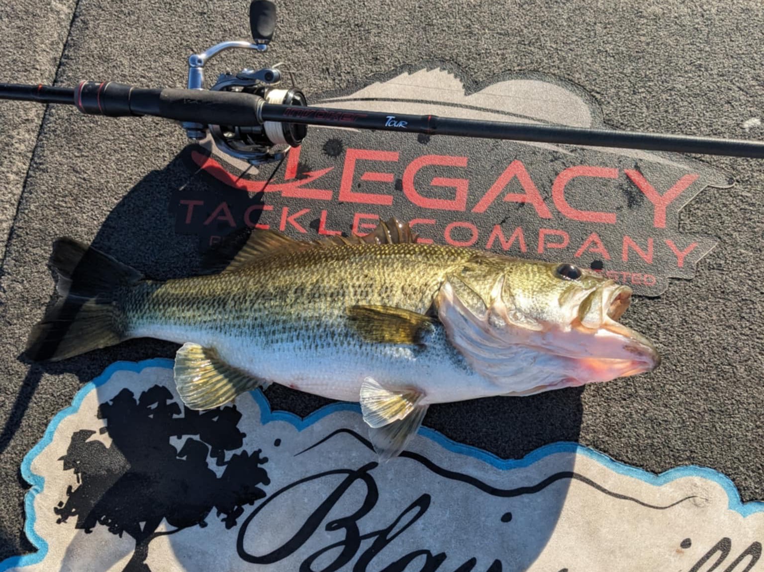 Will Harkins fishing report for Lake Hartwell in South Carolina