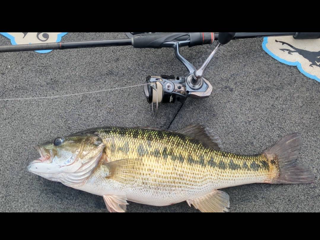 Will Harkins fishing report for Lake Lanier in Georgia