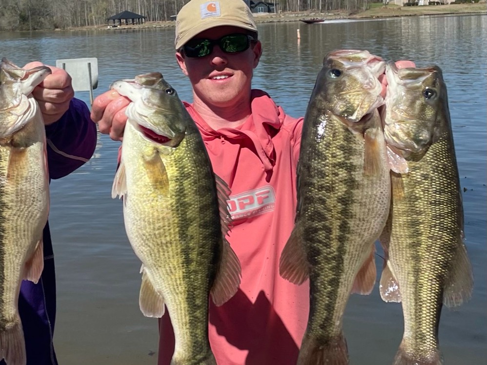 Miller Dowling fishing report for Lay Lake in Alabama