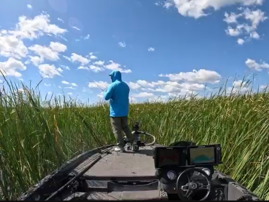 Thomas Shelton fishing report for Saginaw Bay in Michigan