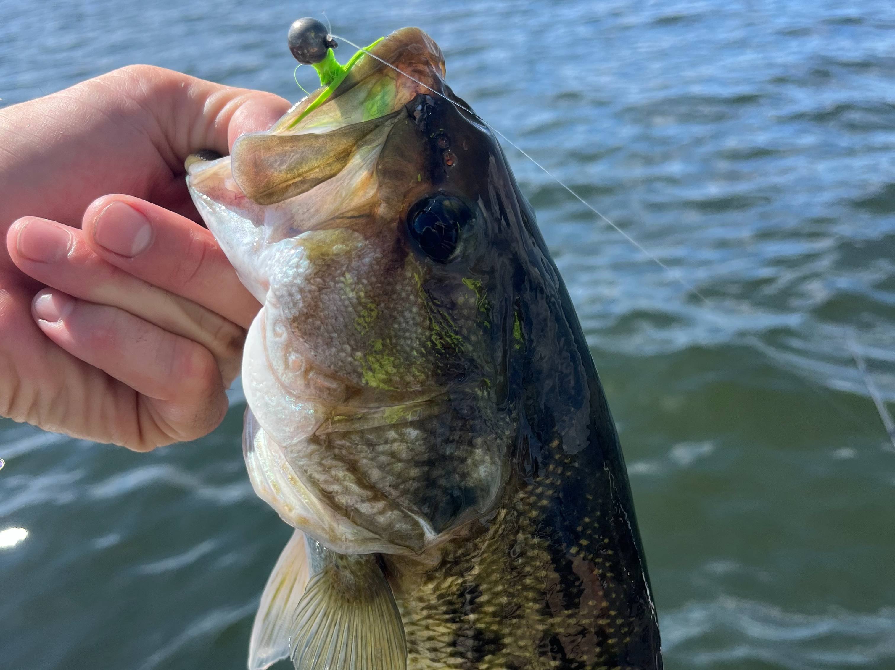 Kristopher Queen fishing report for Lake Norman in North Carolina
