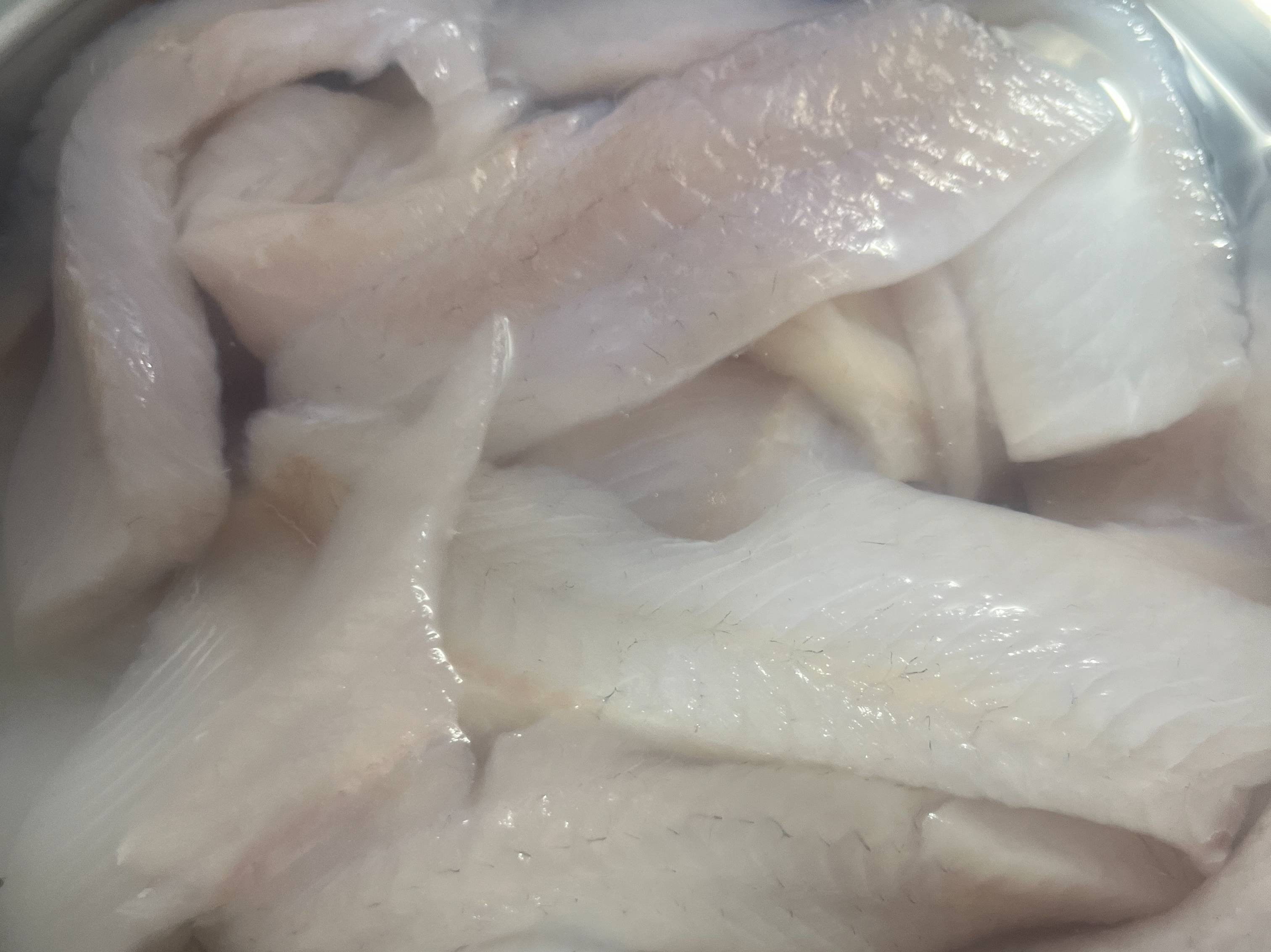 Kristopher Queen fishing report for Lake Norman in North Carolina
