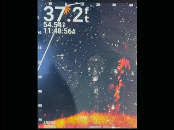Kristopher Queen fishing report for Lake Norman in North Carolina