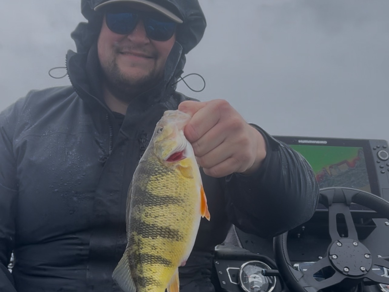 Dalton VanWhy fishing report for Lake Erie in Pennsylvania