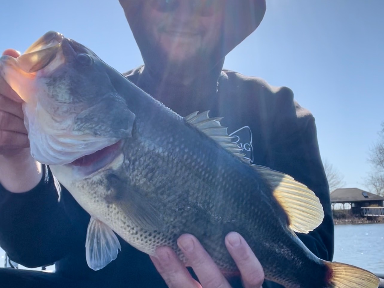 Dalton VanWhy fishing report for Lake Erie in Pennsylvania