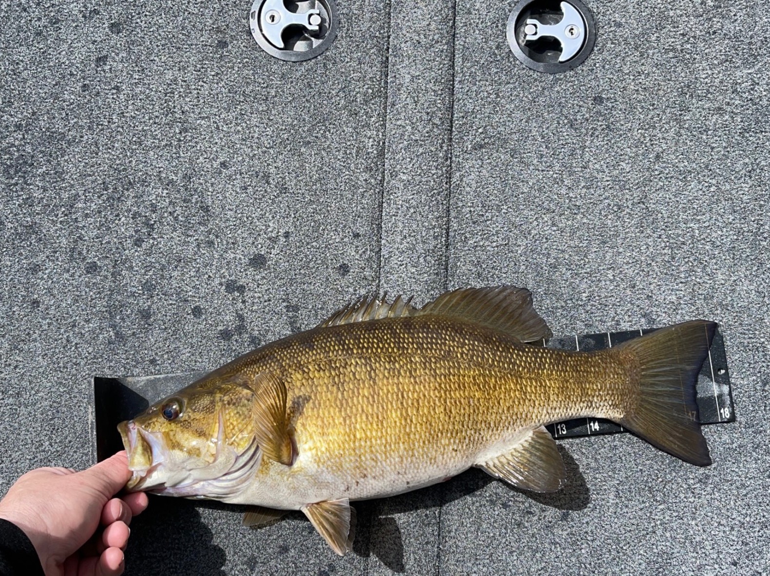 Dalton VanWhy fishing report for Lake Wallenpaupack in Pennsylvania