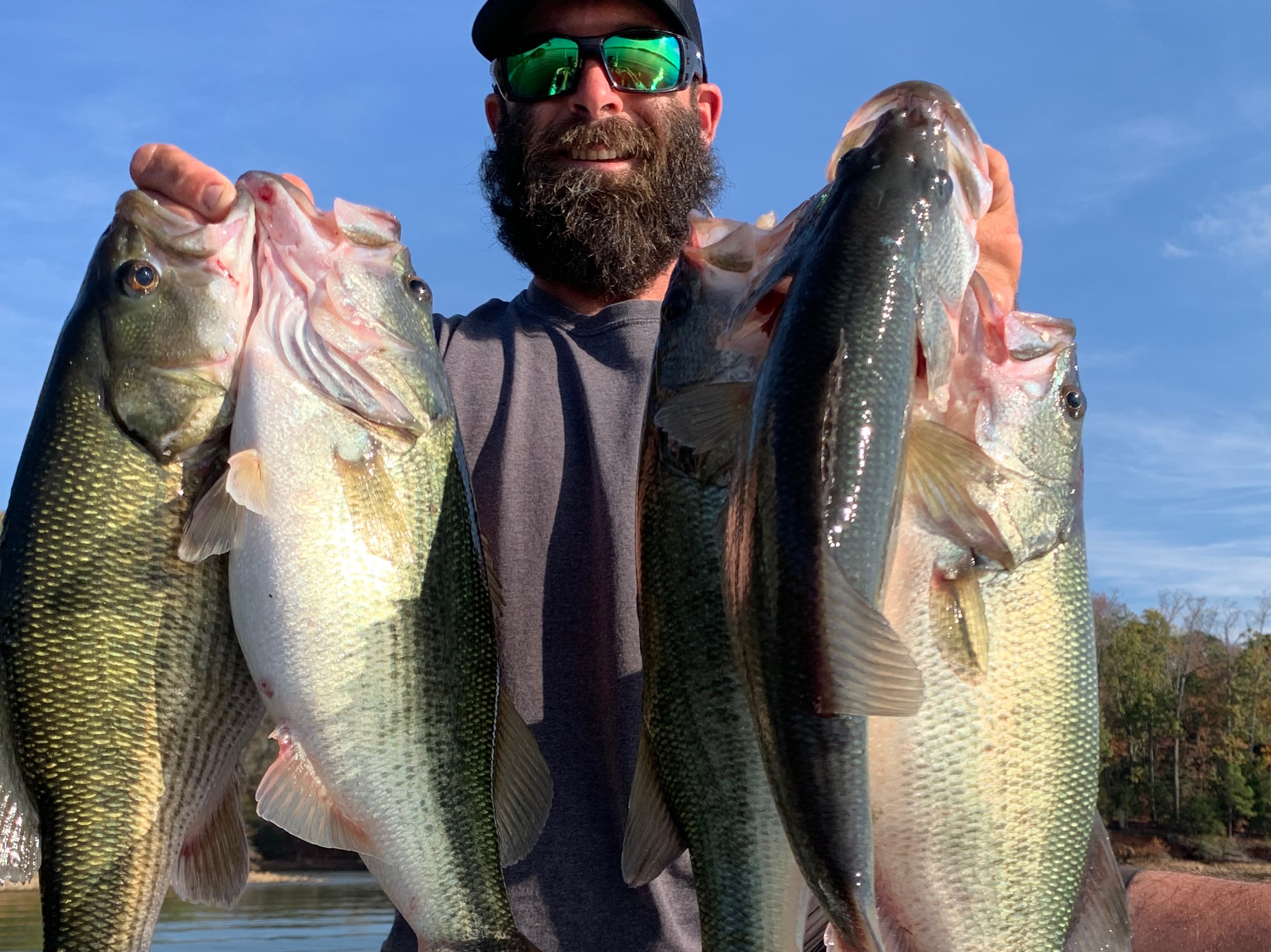 Dillon Falardeau fishing report for Chickamauga Lake in Tennessee