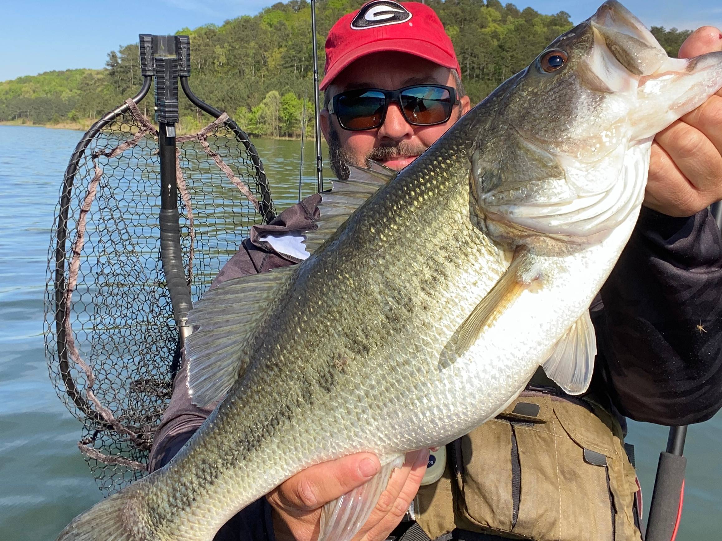 Gene Jensen fishing report for Guntersville Lake in Alabama