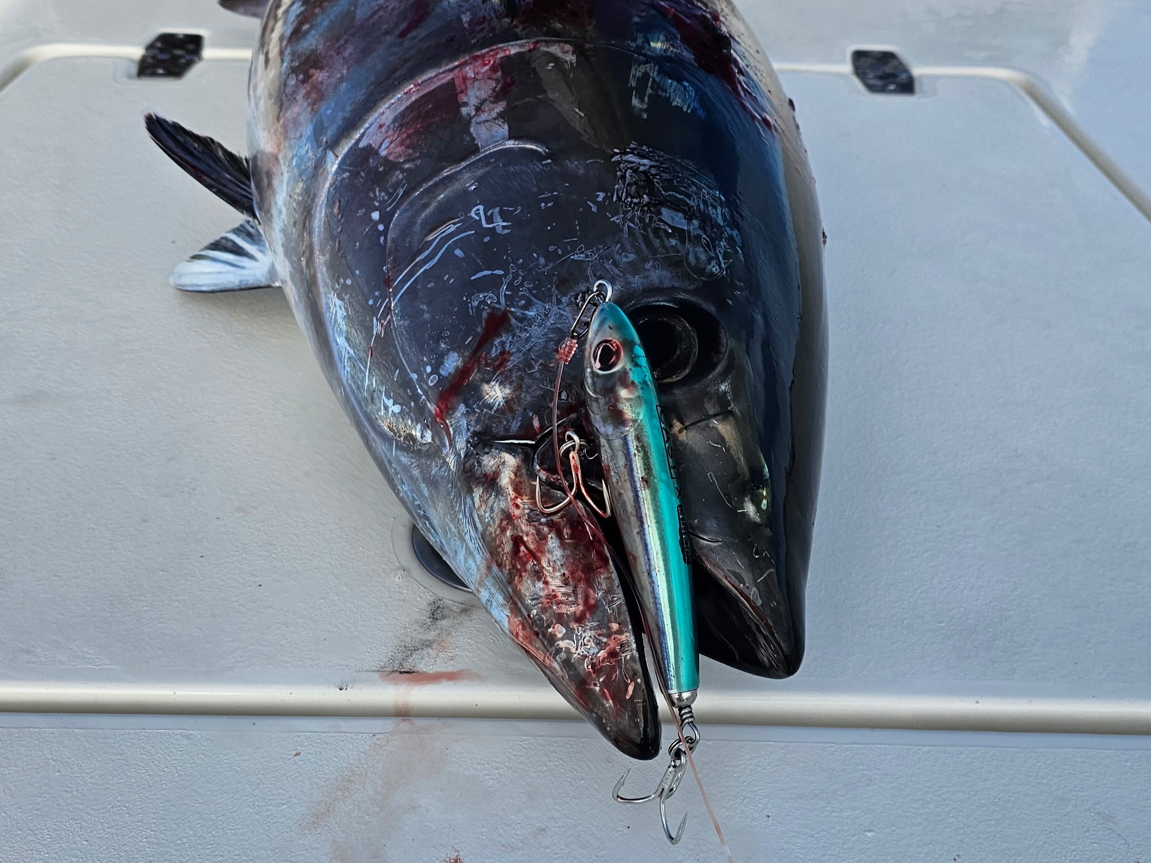 oliver ngy fishing report for Port of Long Beach in California