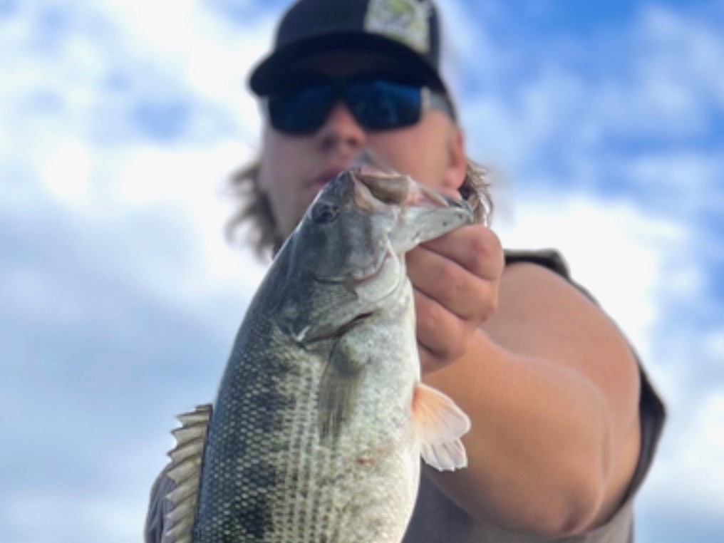 Isaac Greene fishing report for Lake Jocasse in South Carolina
