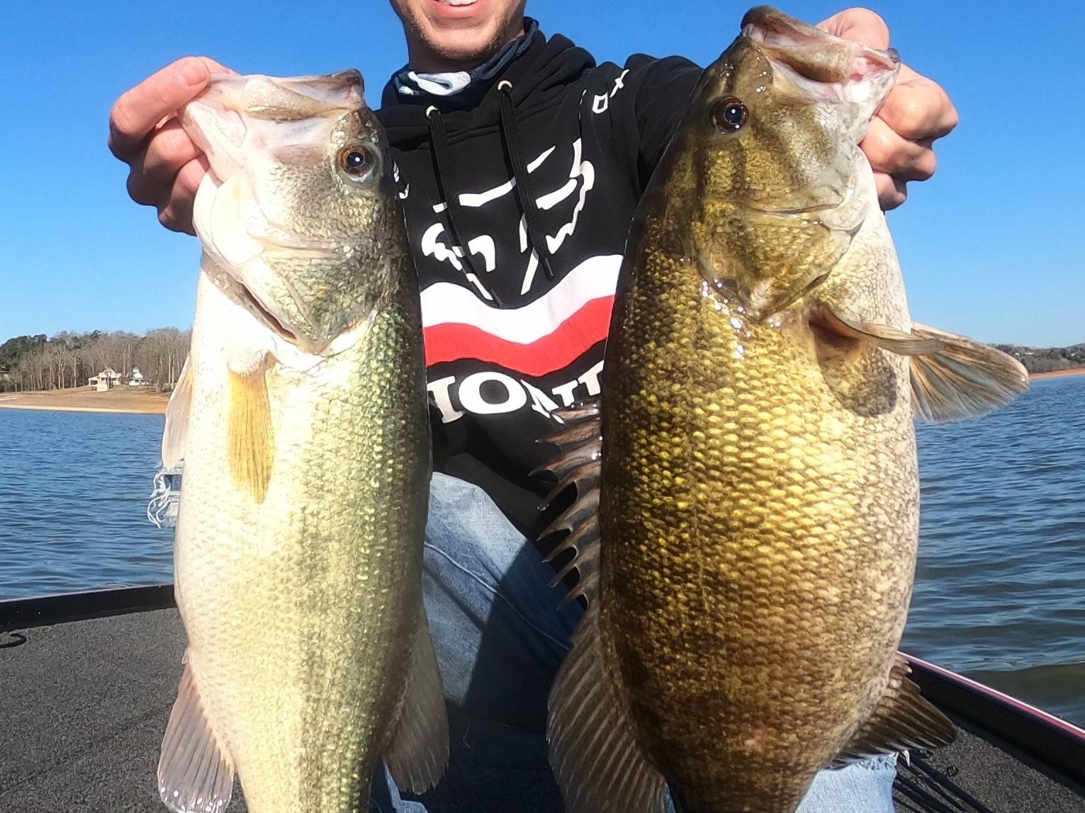 Alan Shelton fishing report for Douglas Lake in Tennessee