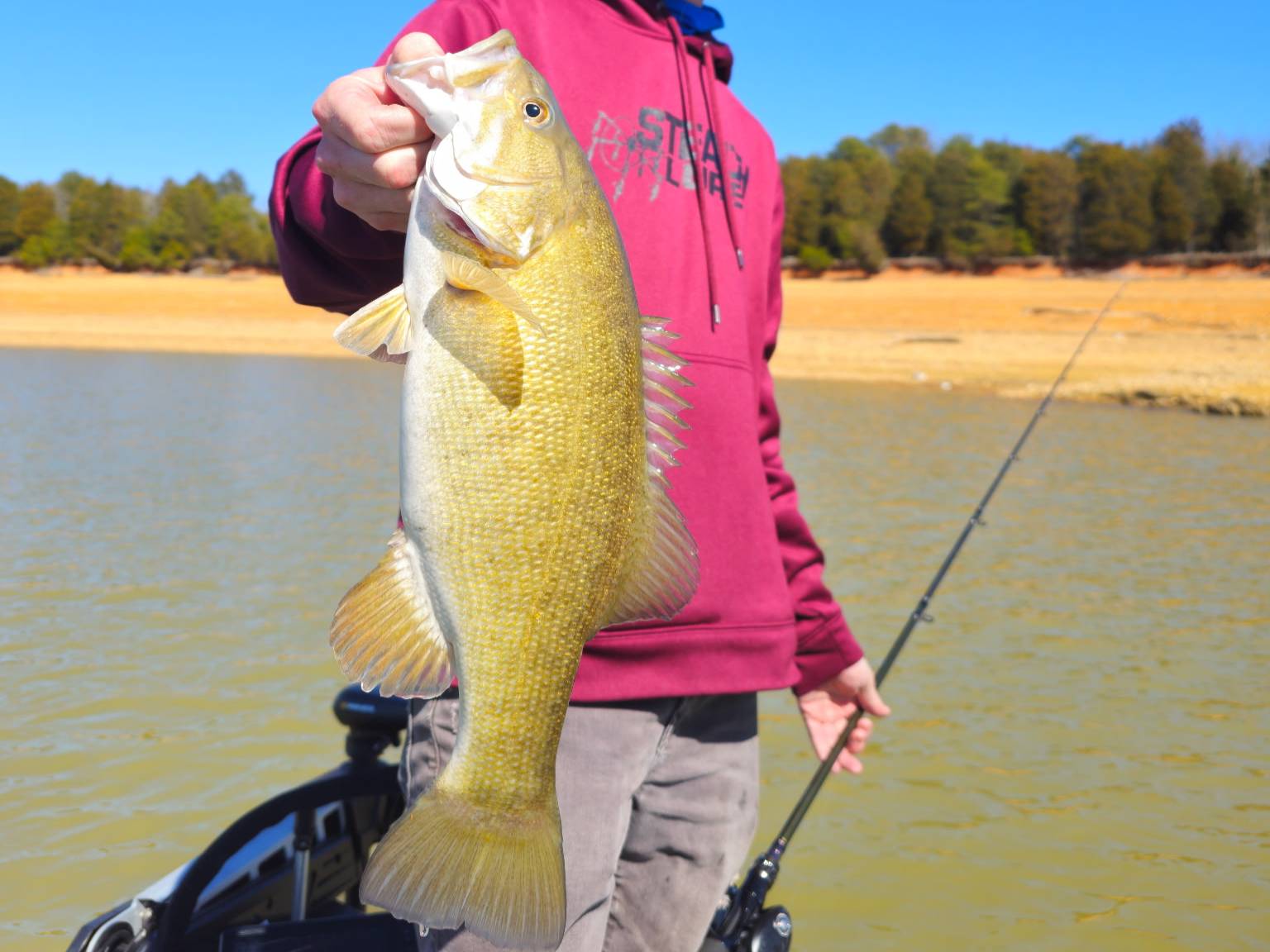 Alan Shelton fishing report for Douglas Lake in Tennessee