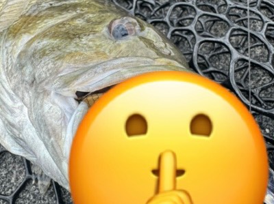 Alan Shelton fishing report for Cherokee Reservoir in Tennessee