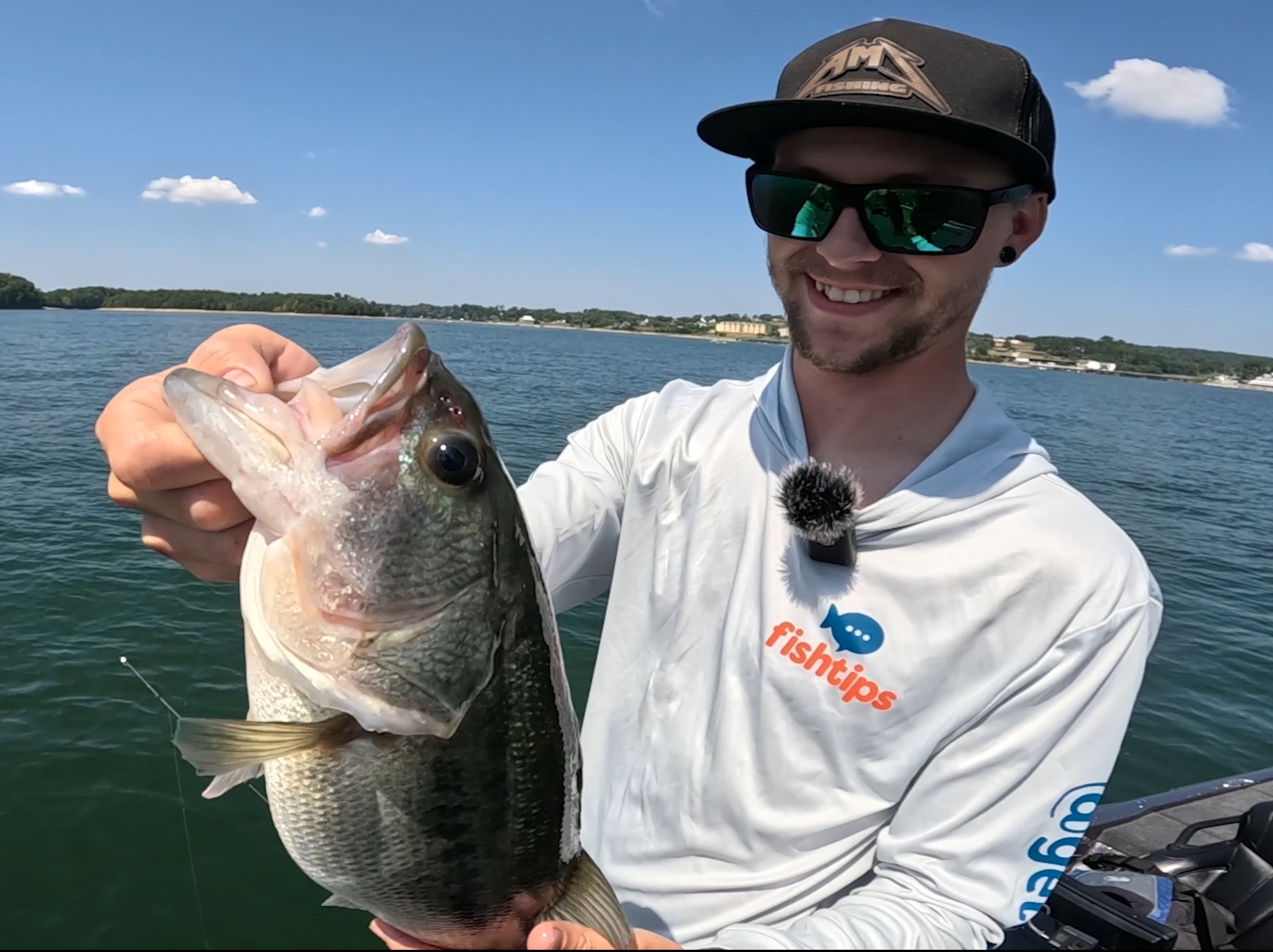 Alan Shelton fishing report for Douglas Lake in Tennessee