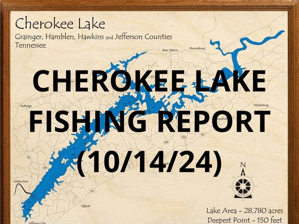 Alan Shelton fishing report for Cherokee Reservoir in Tennessee