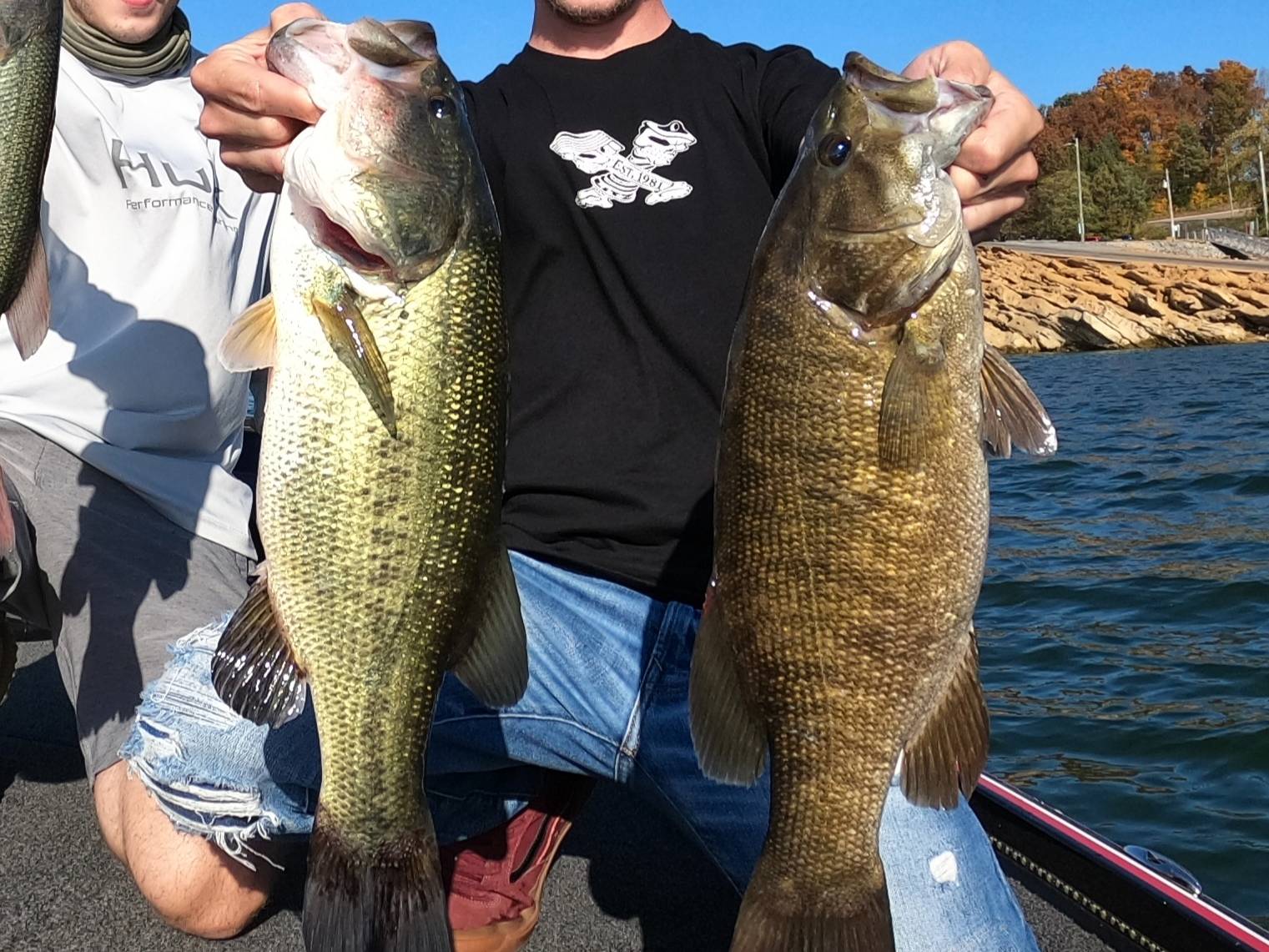 Alan Shelton fishing report for Douglas Lake in Tennessee
