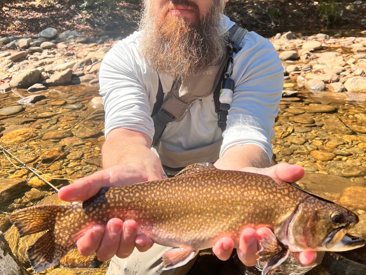 Daniel Wright fishing report for West Fork Pigeon River in North Carolina