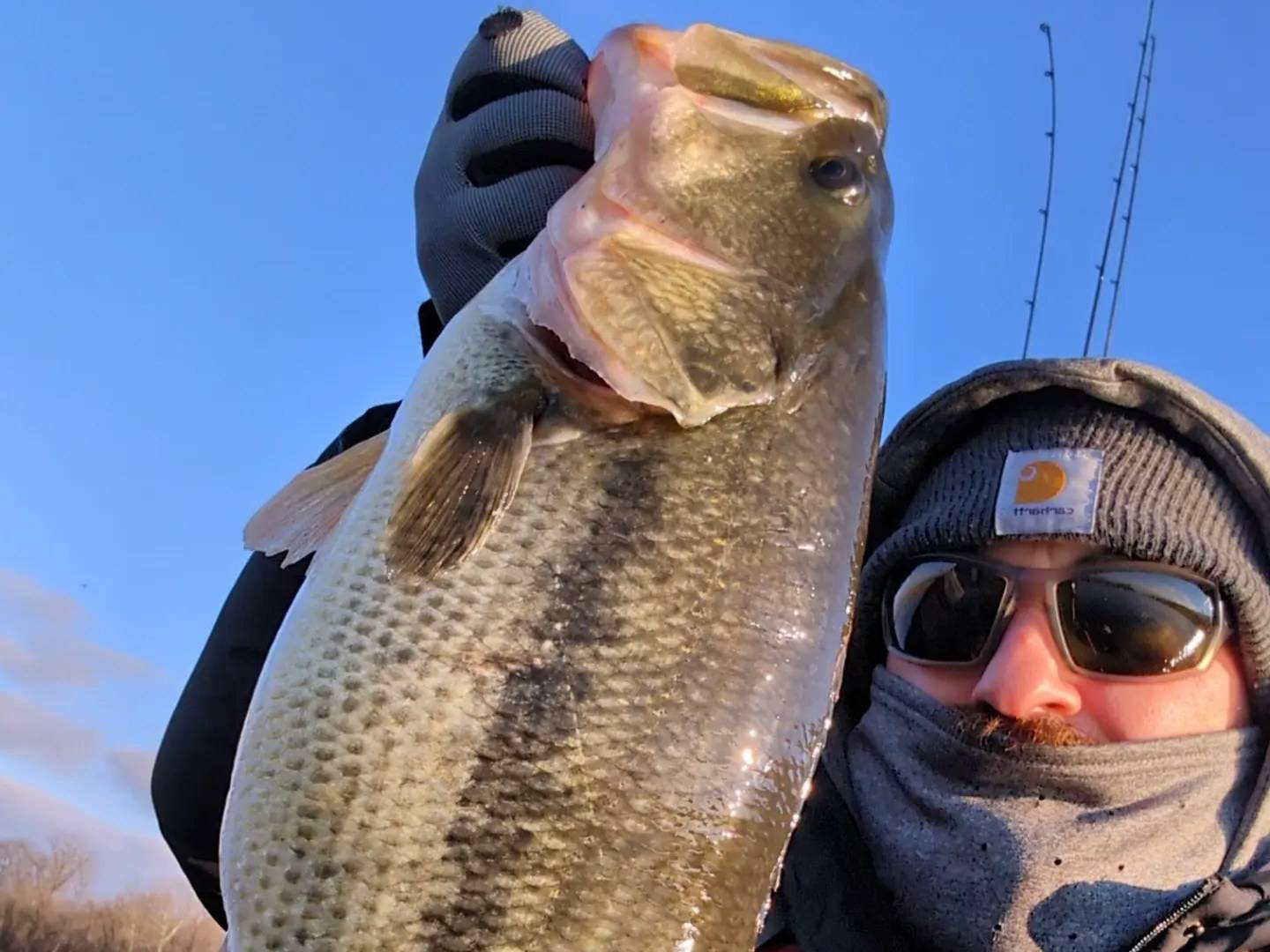 Kyle Michel fishing report for Lake of the Ozarks in Missouri