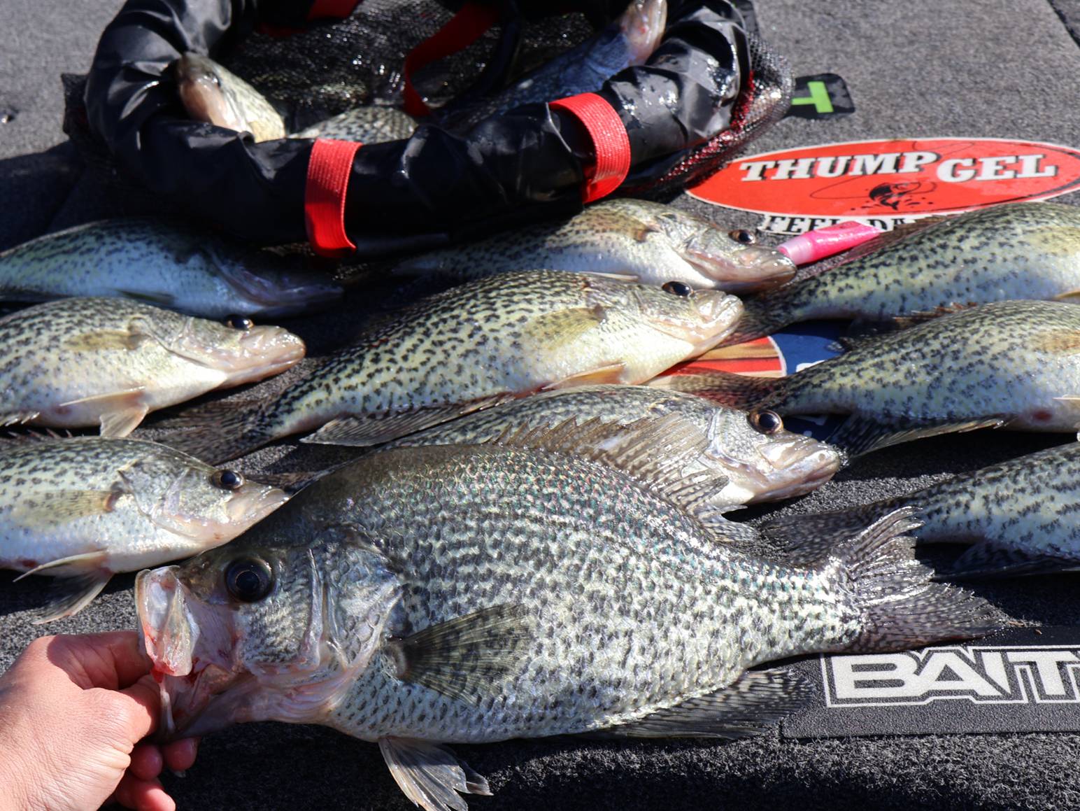 Andrew Nordbye fishing report for Guntersville Lake in Alabama