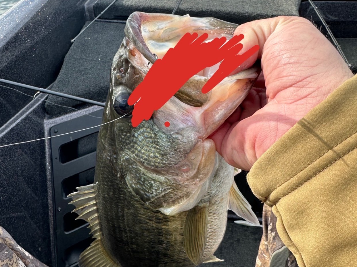 Tyler Campbell fishing report for Lake Hartwell in South Carolina