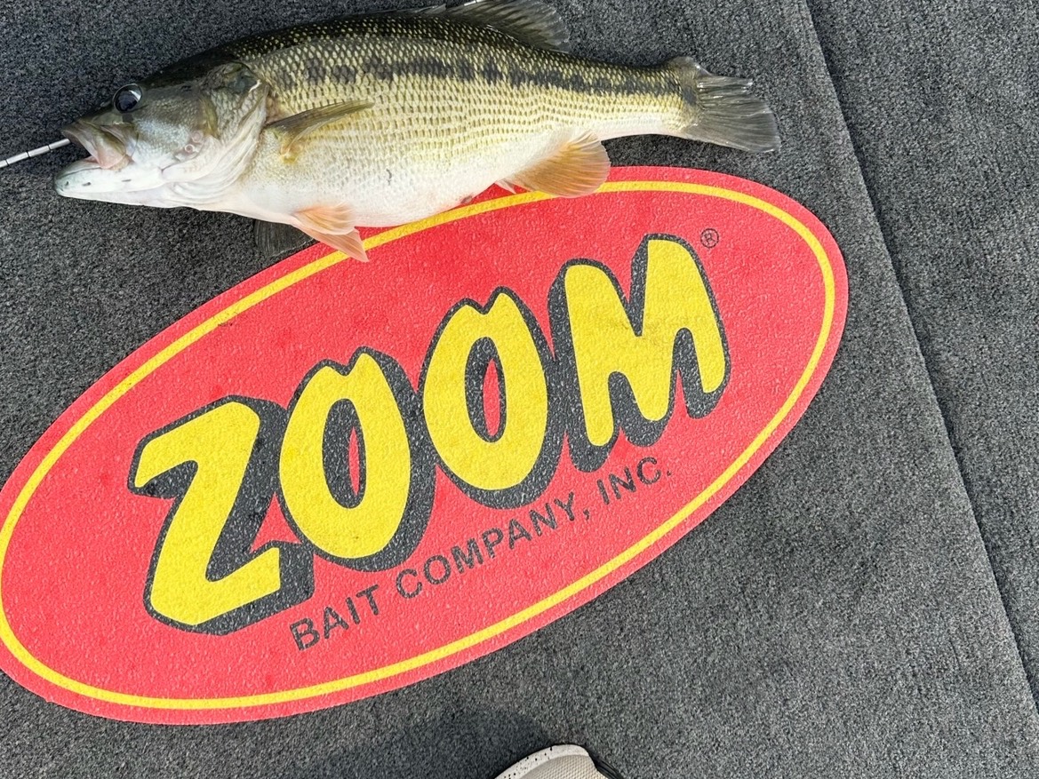 Tyler Campbell fishing report for Lake Lanier in Georgia