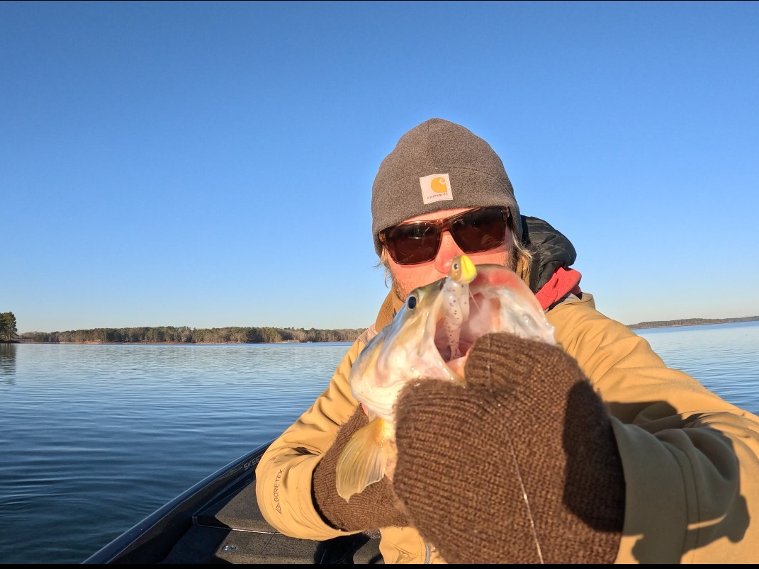 Tyler Campbell fishing report for Lake Hartwell in South Carolina