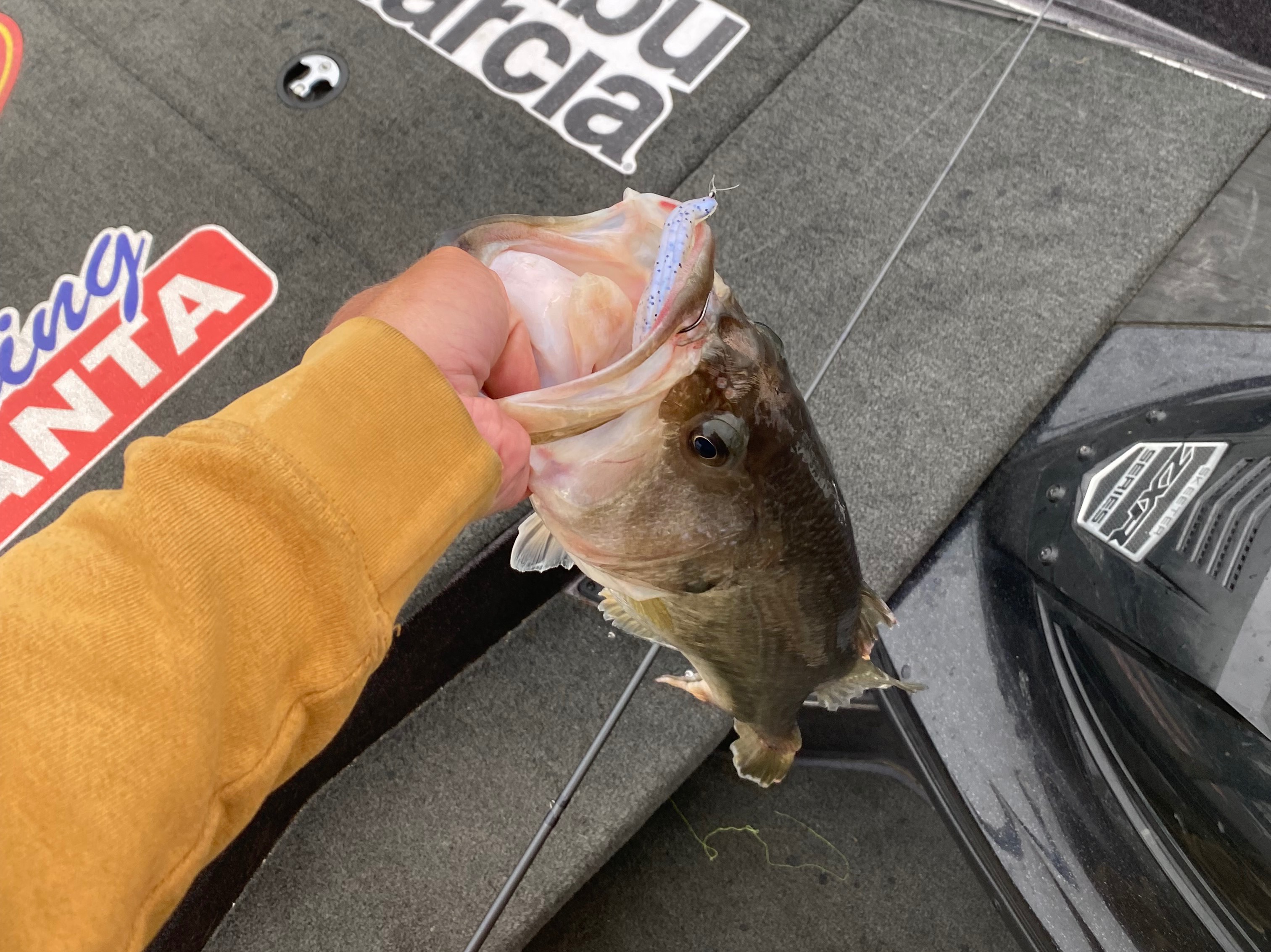 Tyler Campbell fishing report for Lake Hartwell in South Carolina