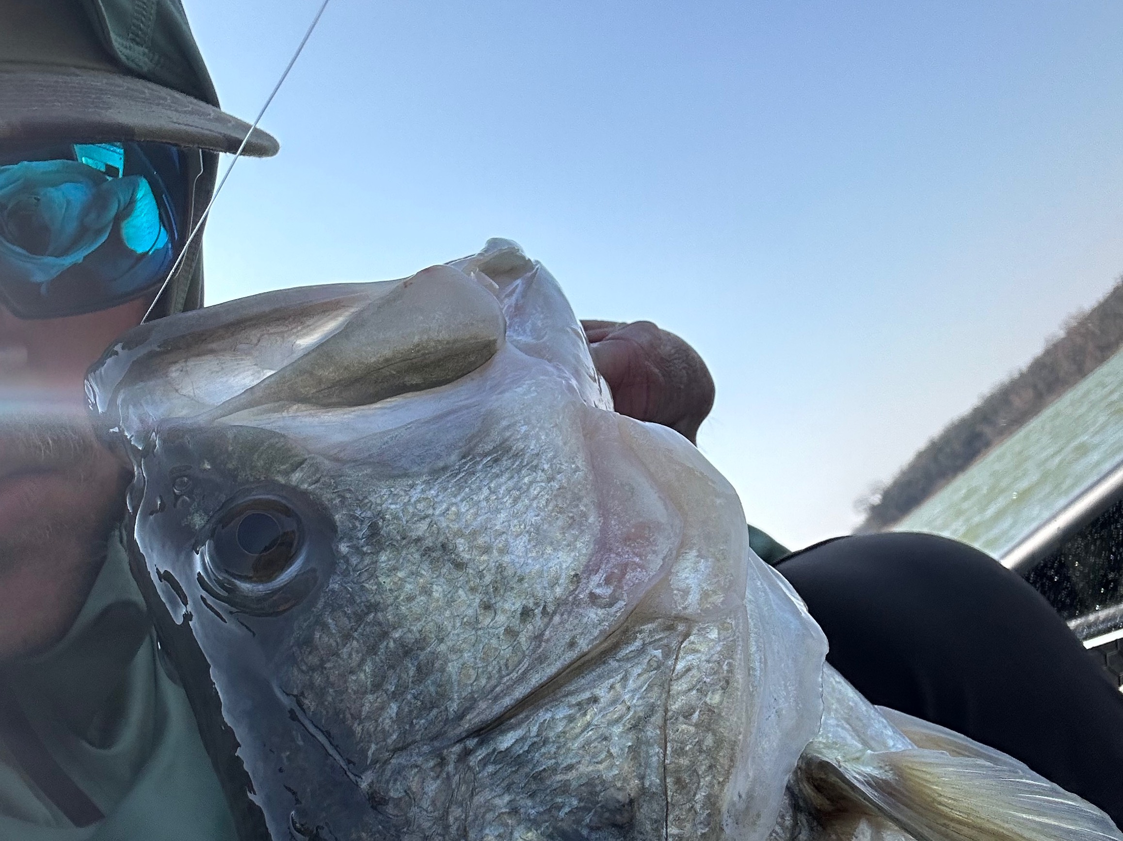 Tyler Campbell fishing report for Lake Hartwell in South Carolina