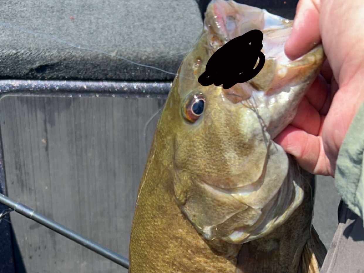 Tyler Campbell fishing report for Saint Clair in Michigan