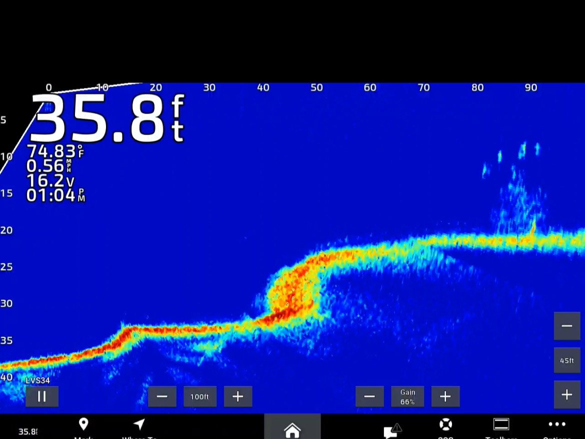 Tyler Campbell fishing report for South Carolina