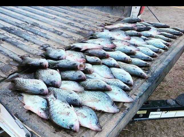 Gabriel Battles fishing report for Eufaula in Oklahoma